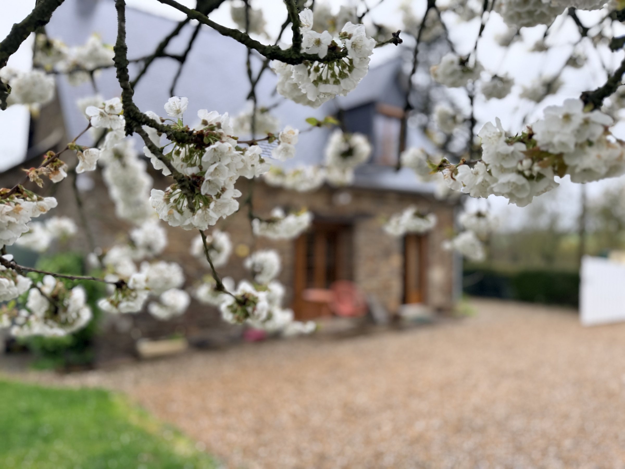 L'Échappée Belle, la maison en pierre vue du jardin